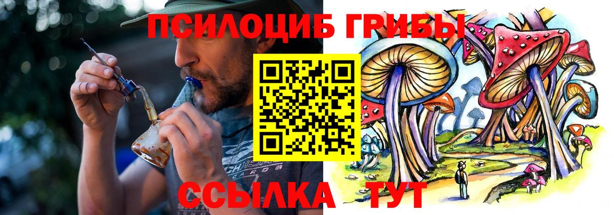 Гусиноозёрск  Псилоцибиновые грибы мицелий  Псилоцибиновые грибы MAGIC MUSHROOMS  Вход с VPN 